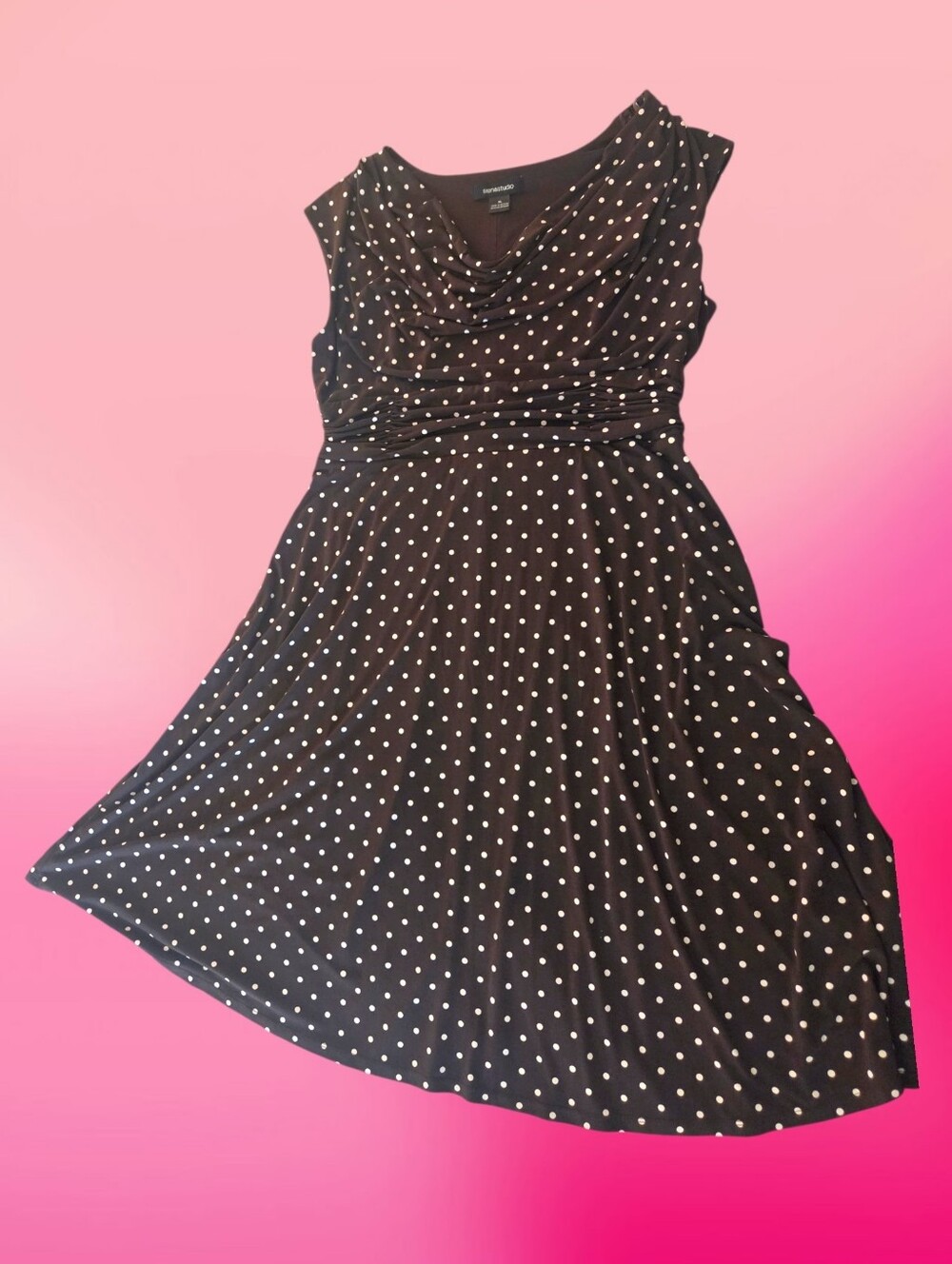 Siena Studio Brown Polka Dot Dress
